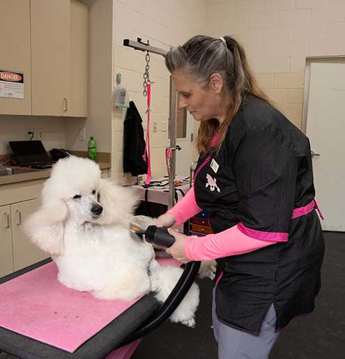 Fox Creek Veterinary Hospital - Wildwood