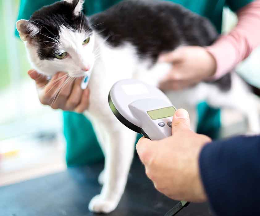 Fox Creek Veterinary Hospital - Microchipping