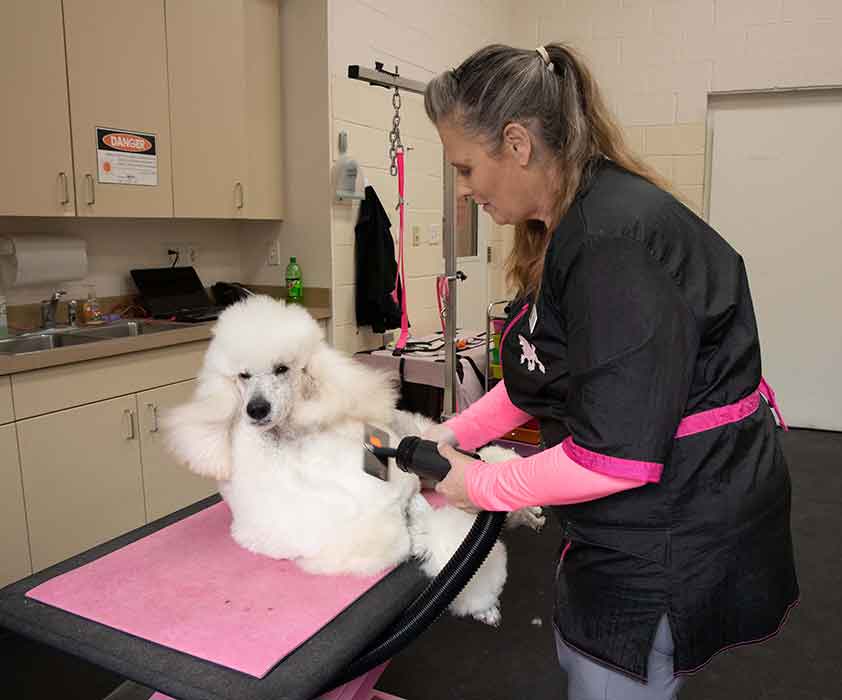 Fox Creek Veterinary Hospital - Grooming