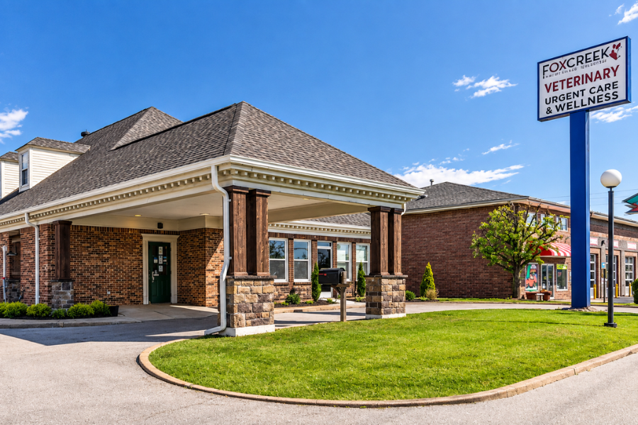 foxcreek-veterinary-hospital-job-opening-at-manchester